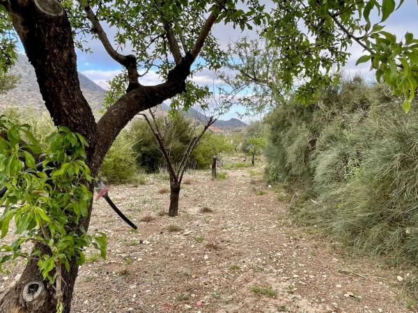 Casa independiente en Partida Figueret, 15