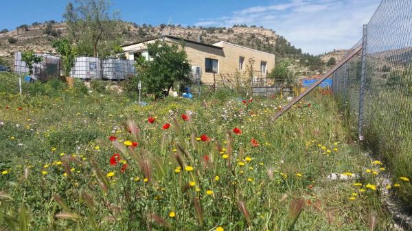 Finca rústica en Partida les Macaroves, 6