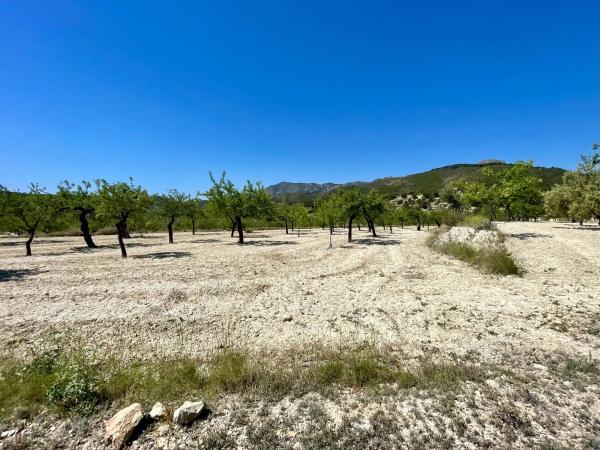 Finca rústica en Pd Font La Figuera, 20