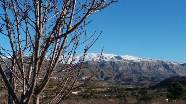 Finca rústica en Partida les Macaroves, 6