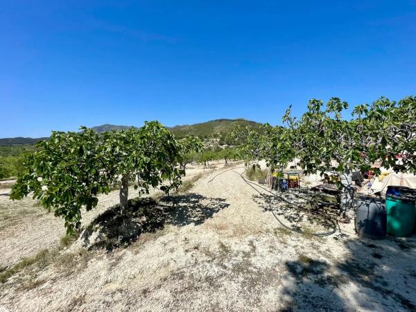 Finca rústica en Pd Font La Figuera, 20
