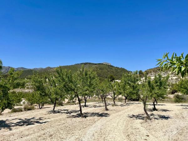 Finca rústica en Pd Font La Figuera, 20