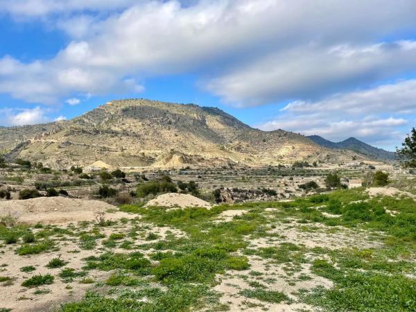 Casa independiente en Partida Figueret, 15