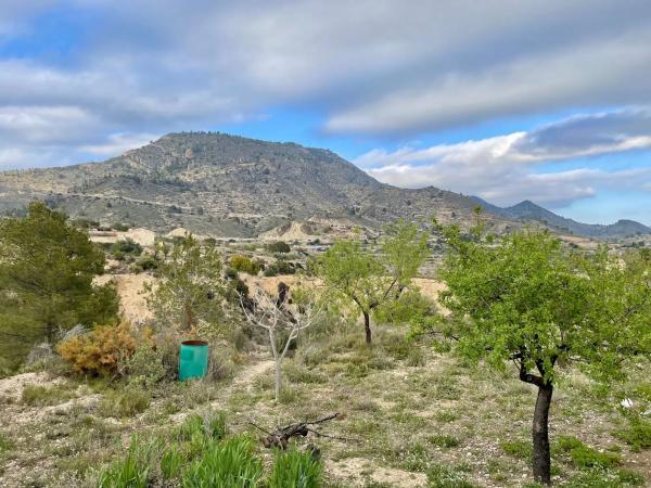 Casa independiente en Partida Figueret, 15