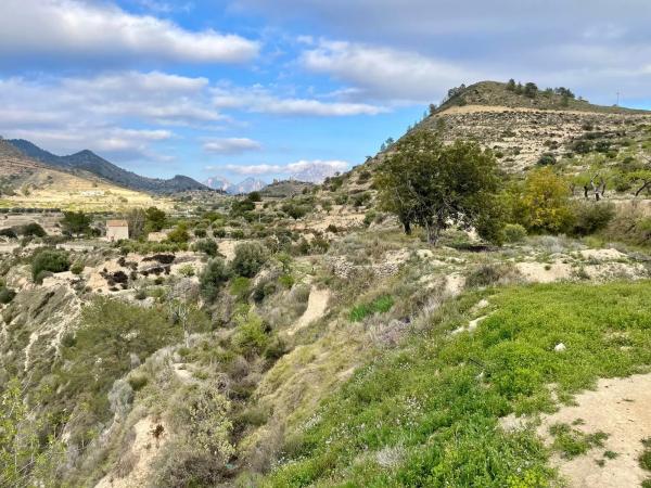 Casa independiente en Partida Figueret, 15