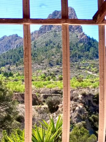 Casa independiente en Partida Figueret, 15