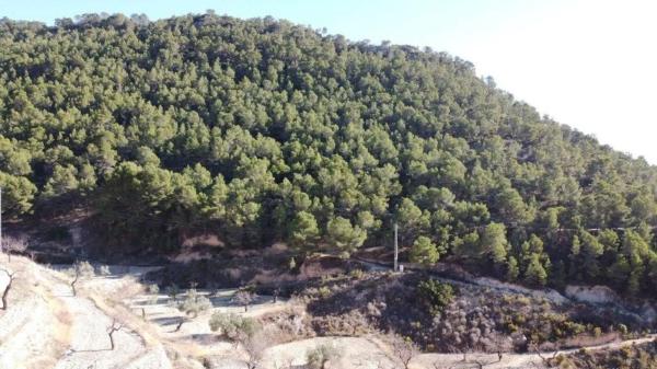 Finca rústica en Relleu s/n