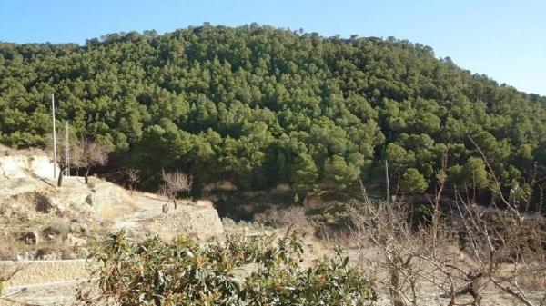 Finca rústica en Relleu s/n