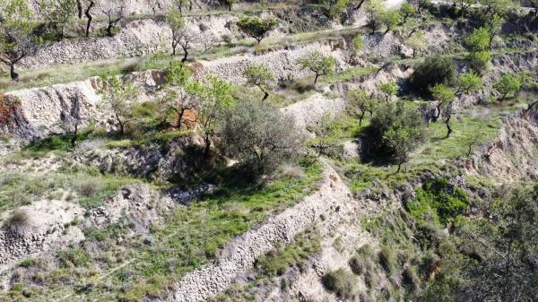 Finca rústica en Partida la Tosca, 20