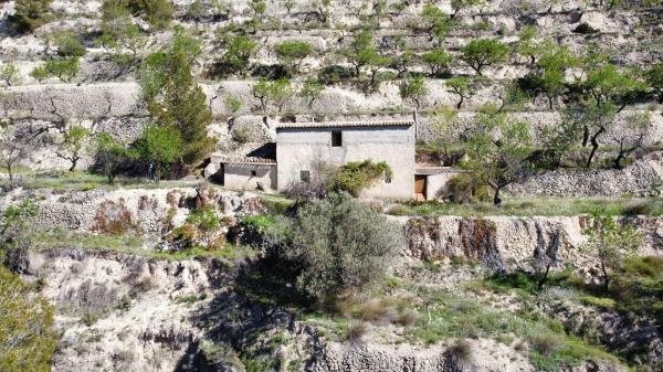 Finca rústica en Partida la Tosca, 20