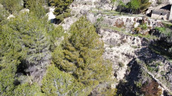 Finca rústica en Partida la Tosca, 20