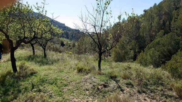 Finca rústica en Partida la Tosca, 20