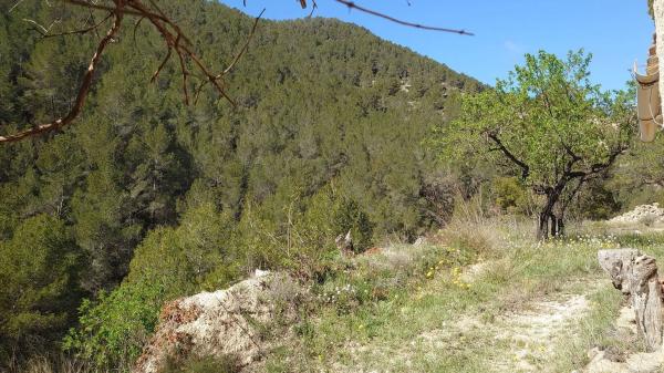 Finca rústica en Partida la Tosca, 20
