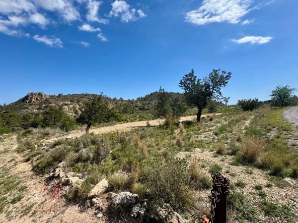 Finca rústica en Pd Bortolons, 37