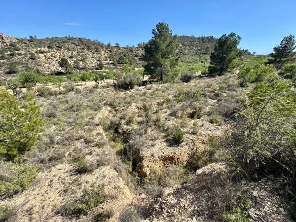 Finca rústica en Pd Bortolons, 37