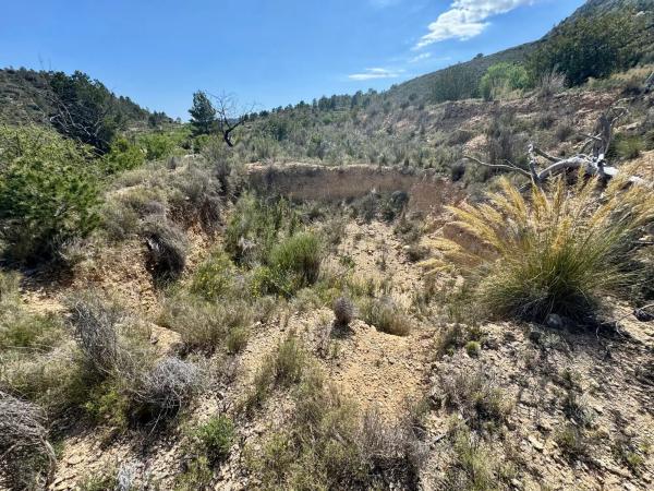 Finca rústica en Pd Bortolons, 37