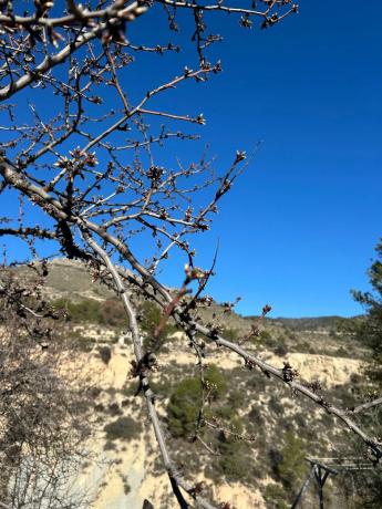 Finca rústica en Cv-775, 775 cv