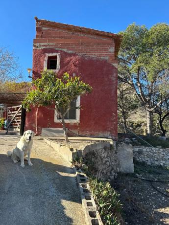 Finca rústica en Cv-775, 775 cv