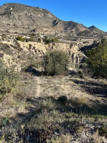 Finca rústica en Cv-775, 775 cv