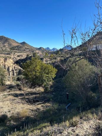 Finca rústica en Cv-775, 775 cv