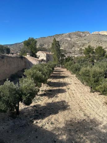 Finca rústica en Cv-775, 775 cv