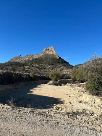 Finca rústica en Cv-775, 775 cv