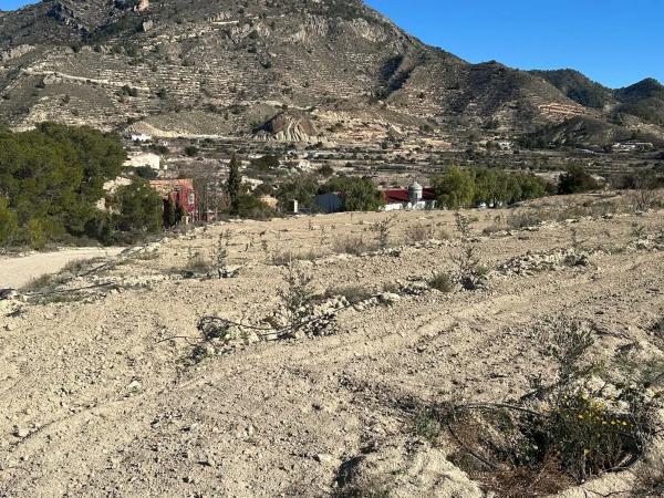 Finca rústica en Cv-775, 775 cv