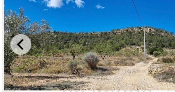 Finca rústica en macarova s/n