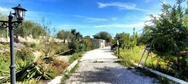 Casa independiente en camino Amadorio