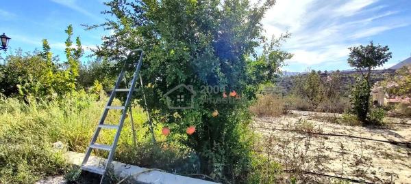 Casa independiente en camino Amadorio