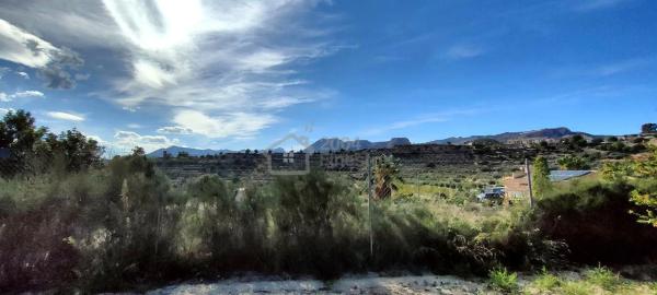 Casa independiente en camino Amadorio