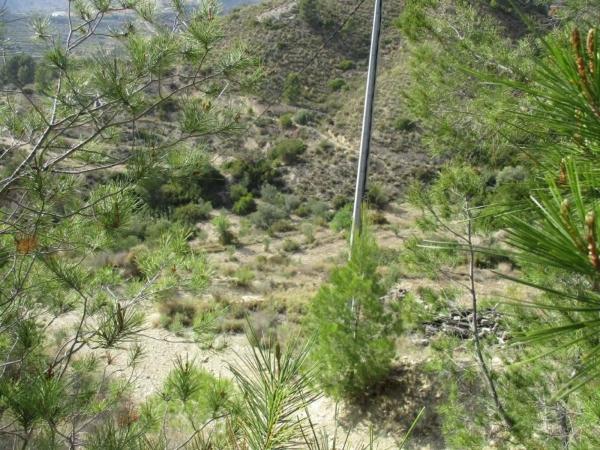 Finca rústica en plaza el Muscaret