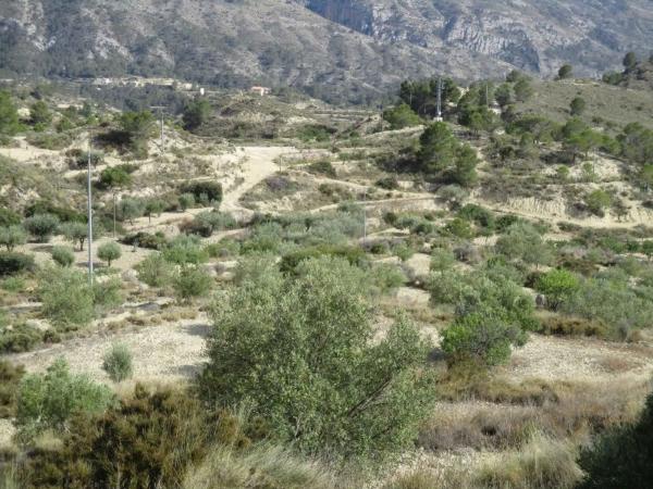 Finca rústica en plaza el Muscaret