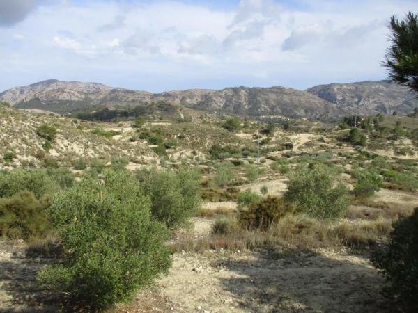 Finca rústica en plaza el Muscaret