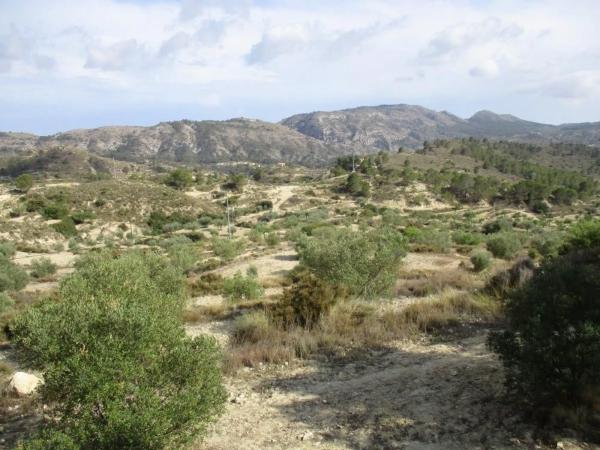 Finca rústica en plaza el Muscaret