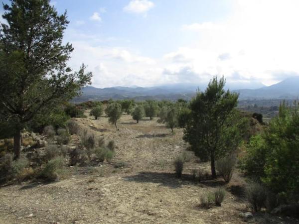 Finca rústica en plaza el Muscaret