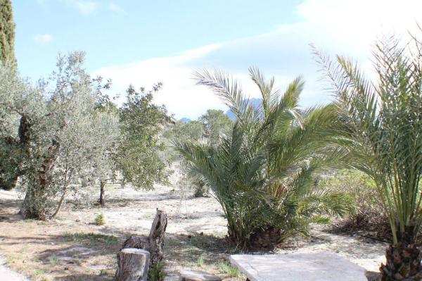 Chalet en Partida Muscaret