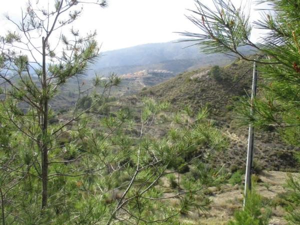 Finca rústica en plaza el Muscaret