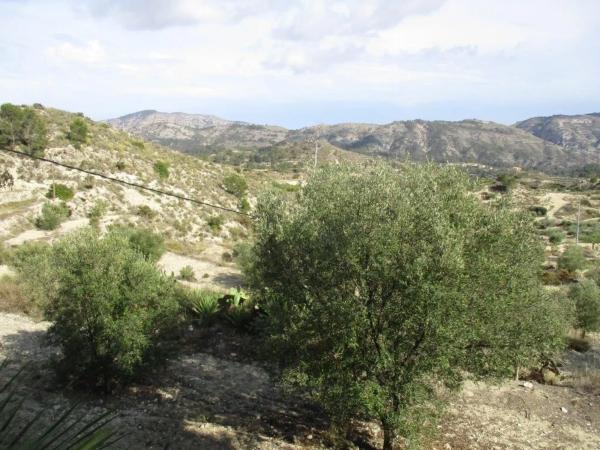 Finca rústica en plaza el Muscaret