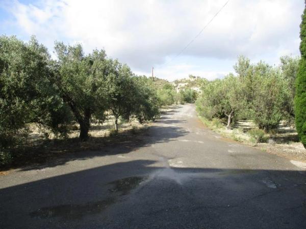 Finca rústica en plaza el Muscaret