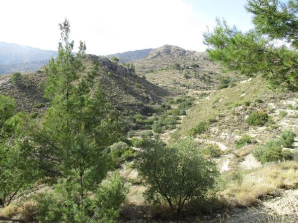 Finca rústica en plaza el Muscaret