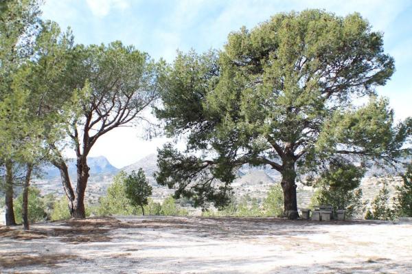 Chalet en Partida Muscaret