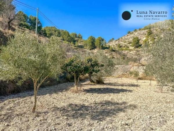 Finca rústica en calle de la Mare de Déu del Miracle
