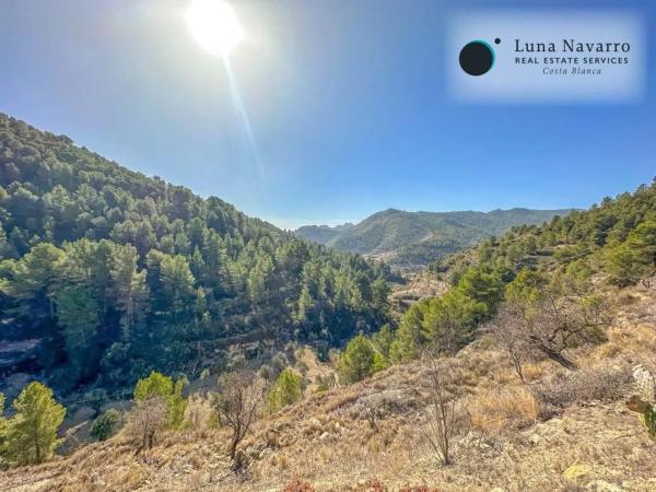 Finca rústica en calle de la Mare de Déu del Miracle