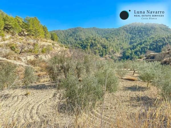 Finca rústica en calle de la Mare de Déu del Miracle
