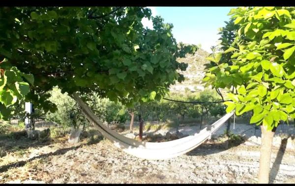 Finca rústica en Cv-775