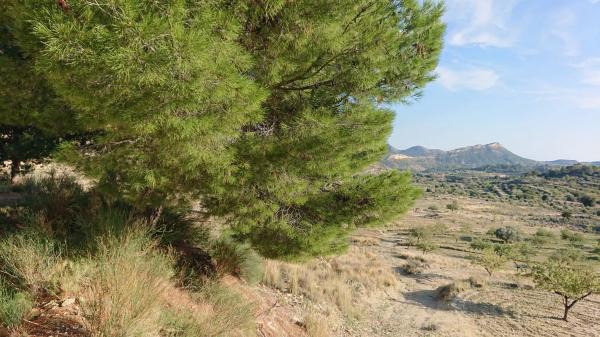 Casa rural en Partida Figueret, 2