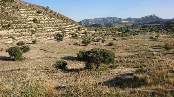 Casa rural en Partida Figueret, 2