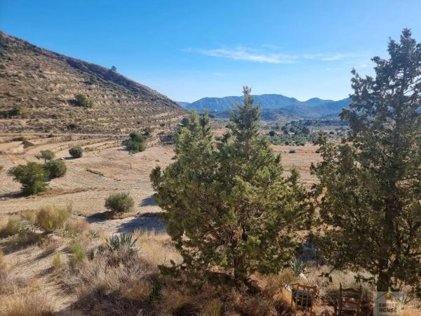 Finca rústica en Partida Figueret, 2