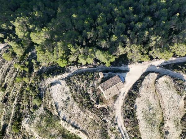 Finca rústica en Partida Aguilar s/n sn